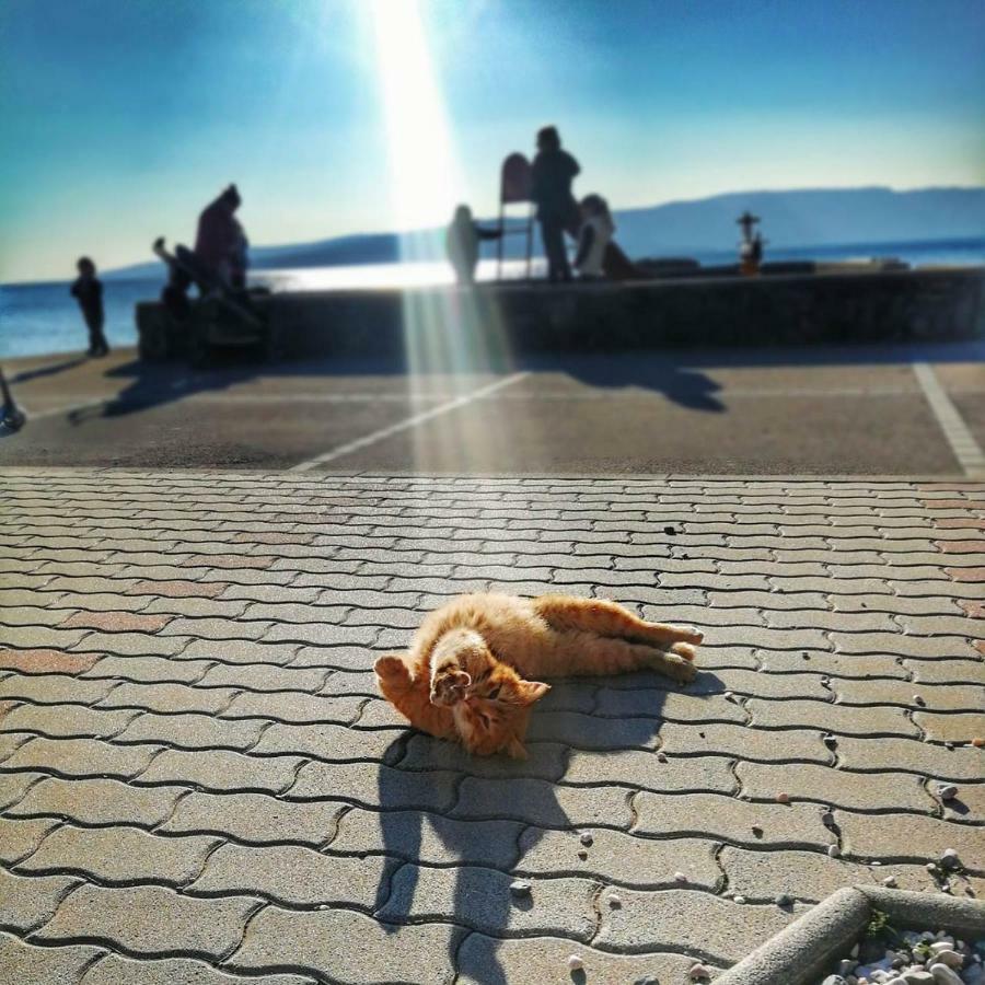 Apartment Bellavita Senj セニ エクステリア 写真
